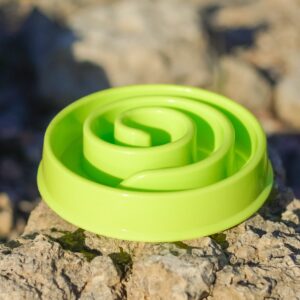 Lēnās ēšanas bļoda - gliemezis