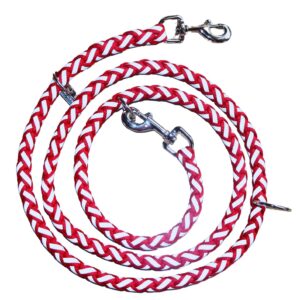 Regulējamā suņu pavada