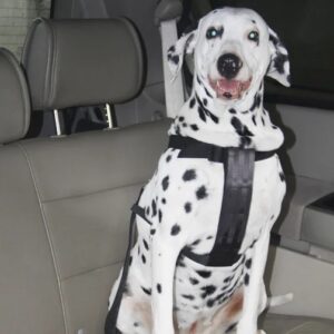 Automašīnas drošības jostas komplekts