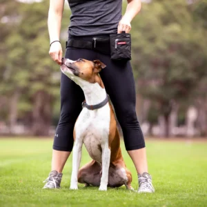 Suņu treniņiem un ikdienas pastaigām