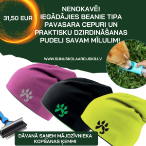 Komplekts: PAVASARIS